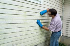 Best Storm Damage Siding Repair  in USA